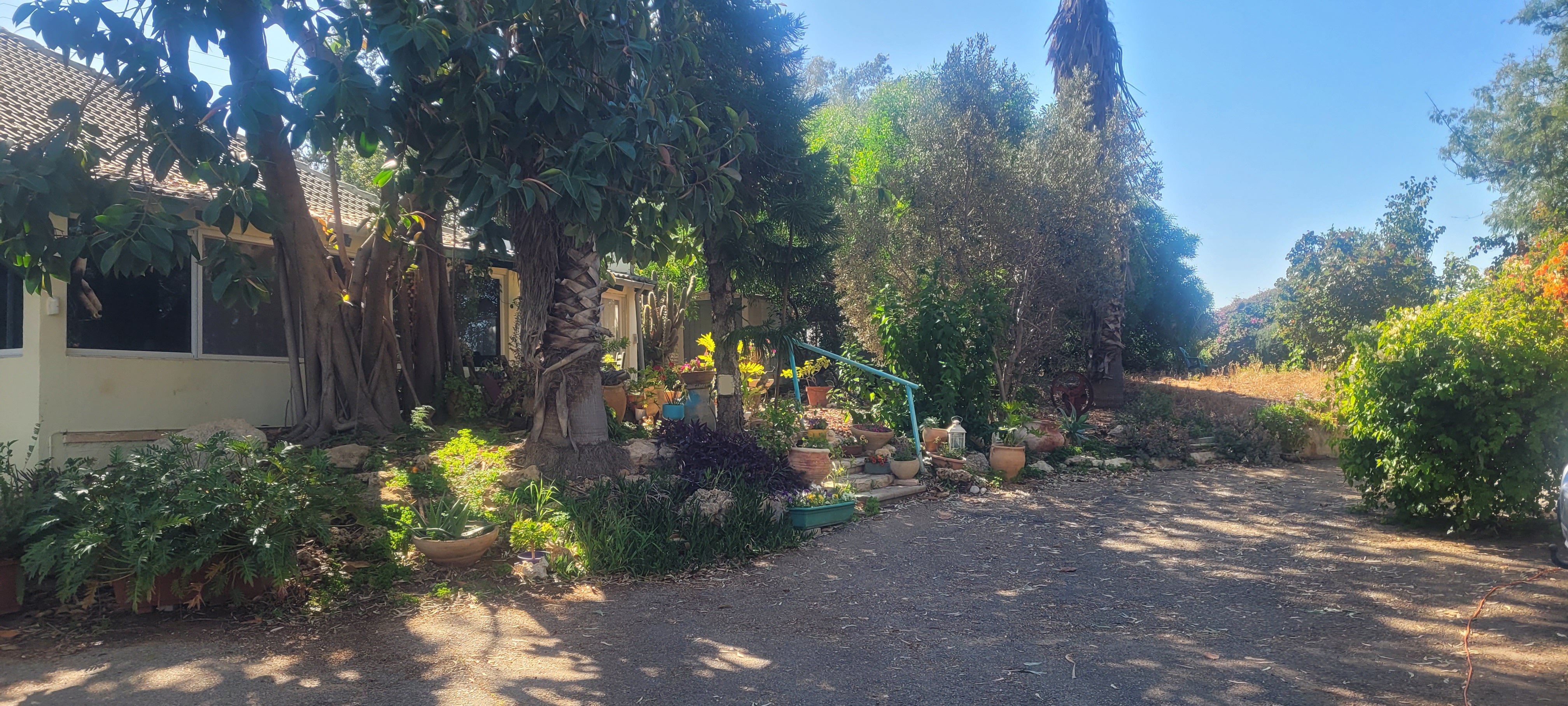 מהסמארטפון שלי